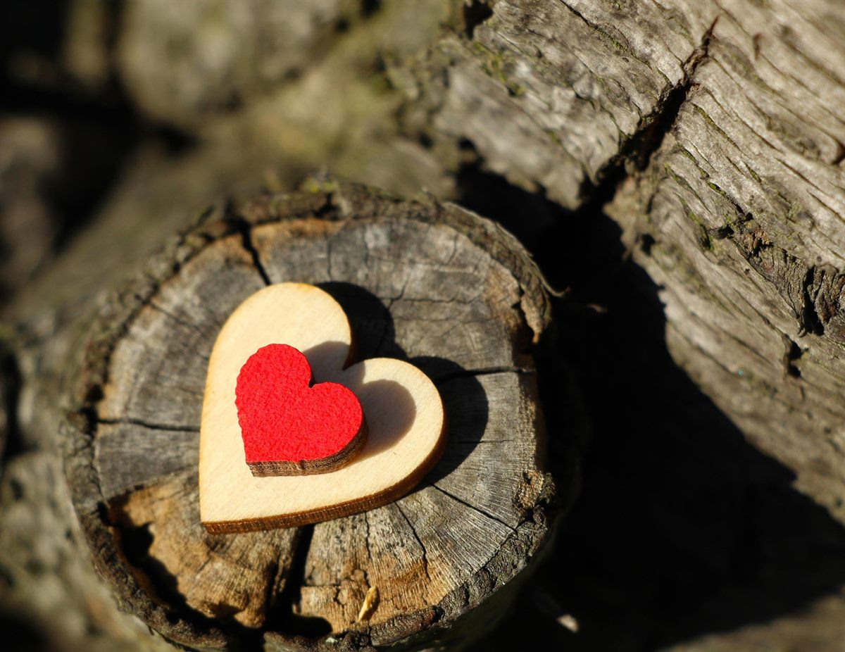 Hölzernes Herz auf einem alten Baumstamm – Holz mit Geschichte